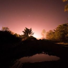letni noc