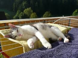 relax, odpocinek