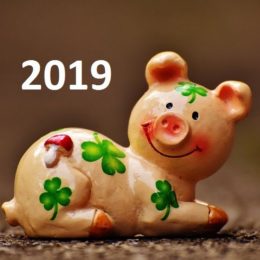 2019 rok zemniho vepre