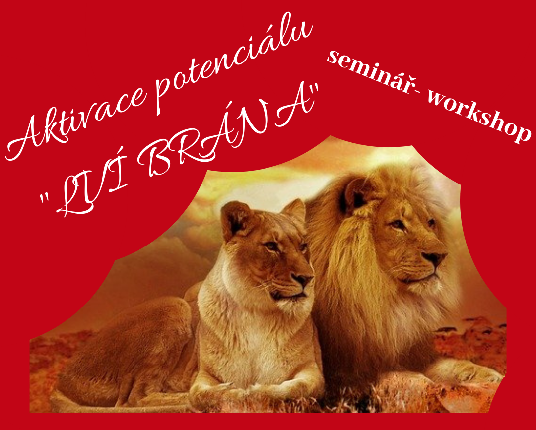 workshop aktivace pontencialu lvi brana